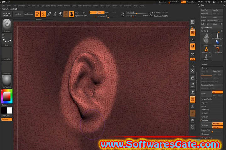 Pixologic Zbrush : Version 2025.0.0 (Latest Software)