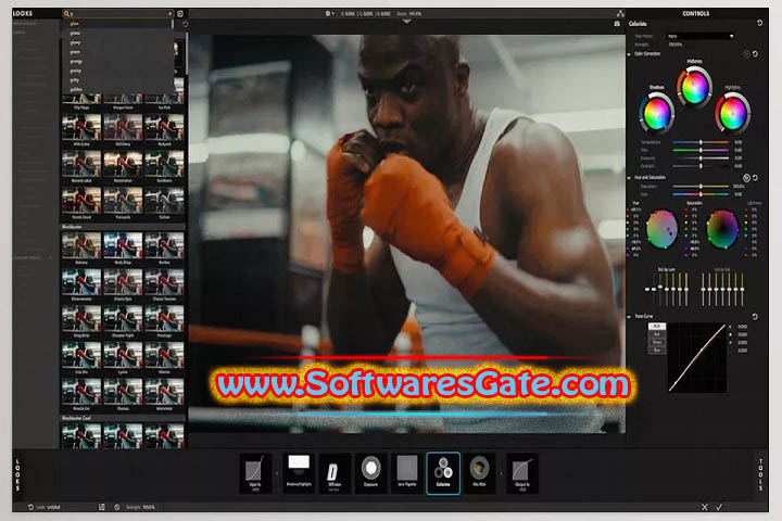 Red Giant Magic Bullet Suite : Version 2025.0 (Latest Software)