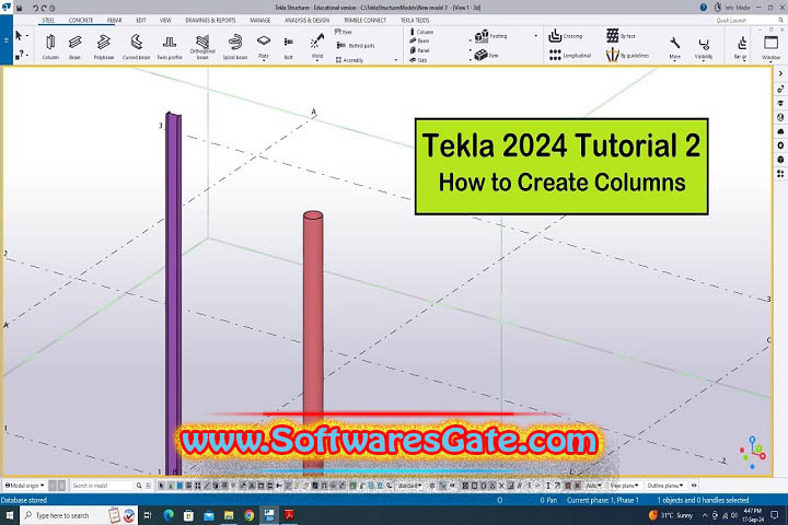 Tekla Structures : Version 2024 SP4.1 (Latest Software)