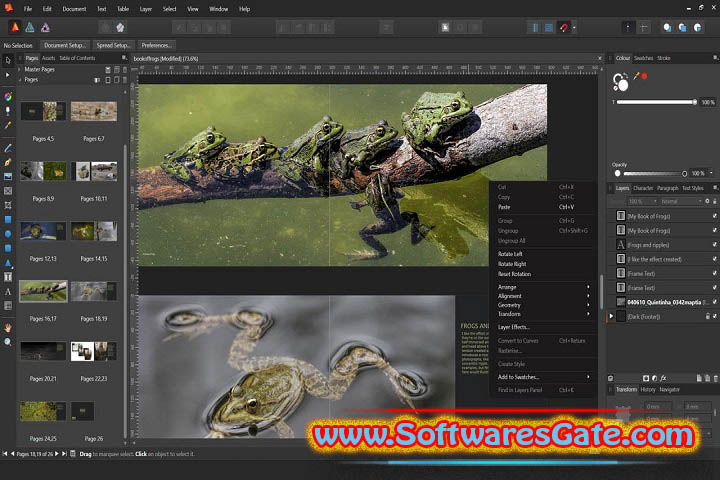 Affinity Publisher : Version 2.5.5.2636 (Latest Software)