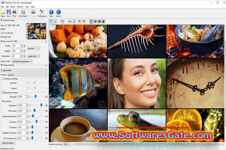 Benvista PhotoZoom Pro : Version 9.0.2 (Latest Software) Benvista PhotoZoom Pro : Version 9.0.2 (Latest Software)