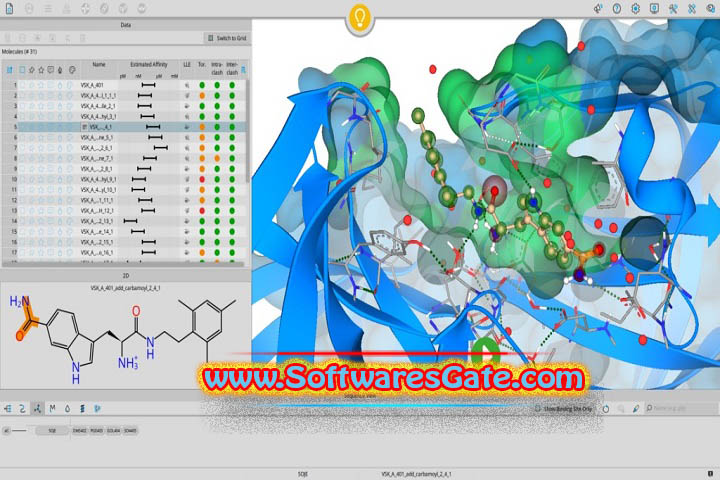 BioSolveIT SeeSAR : Version 13.1.1 (Latest Software) BioSolveIT SeeSAR : Version 13.1.1 (Latest Software)