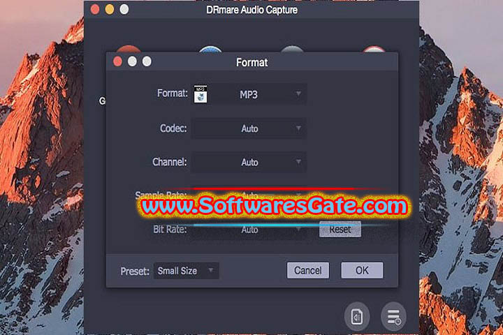 DRmare Audio Capture : Version 2.5.0.25 (Latest Software)
