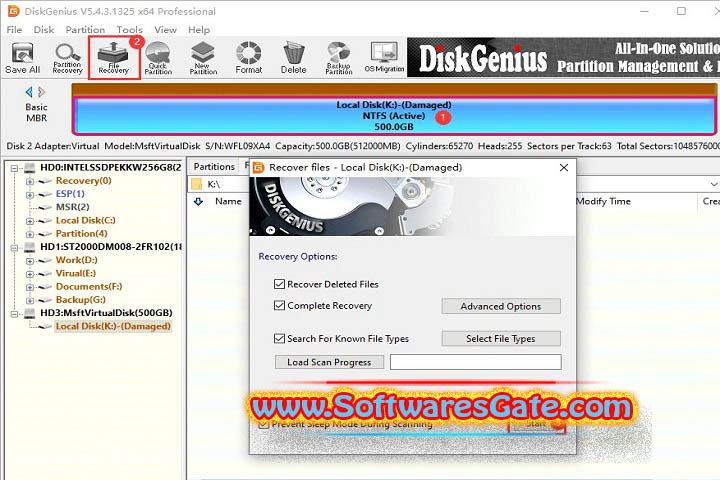 DiskGenius Professional : Version 5.6.1.1580 (Latest Software)