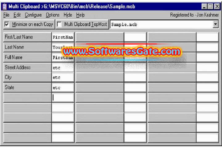 ElectraSoft Multi Clipboard : Version 24.07.27 (Latest Software)