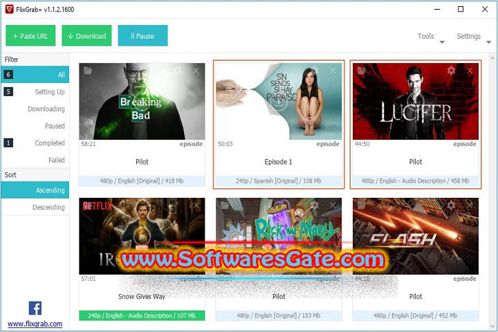 FlixGrab Plus : Version 1.8.0.2288 Premium (Latest Software)