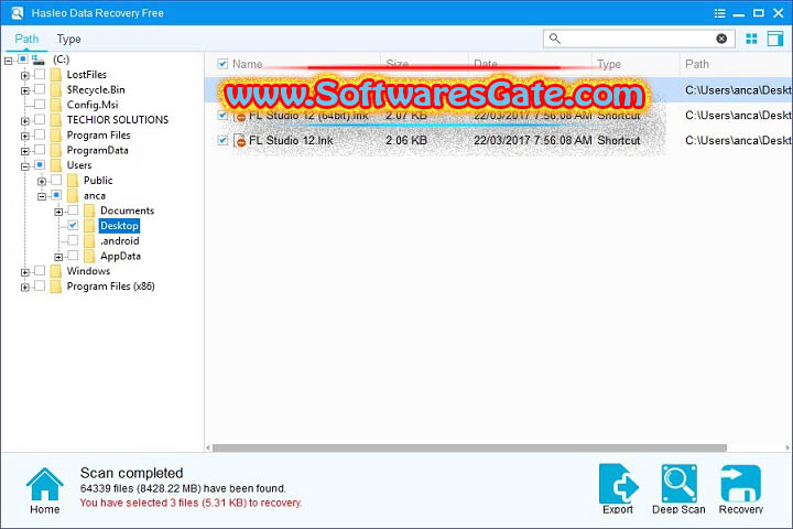 Hasleo Data Recovery : Version 6.2 (Latest Software)