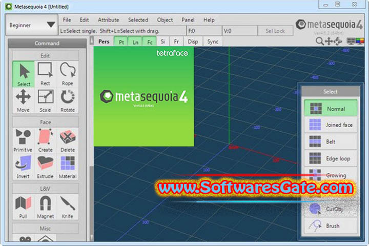 Tetraface IncTetraface Inc Metasequoia : Version 4.9.0a (Latest Software) Tetraface IncTetraface Inc Metasequoia : Version 4.9.0a (Latest Software)