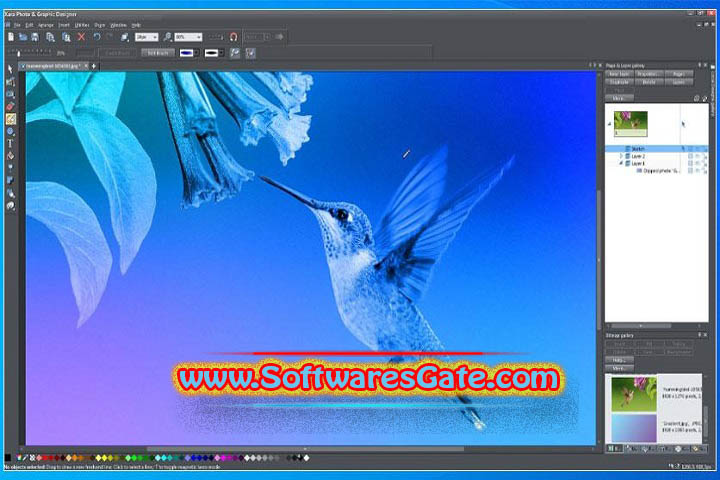 Xara Photo & Graphic Designer+ : Version 24.3.0.70123 (Latest Software)