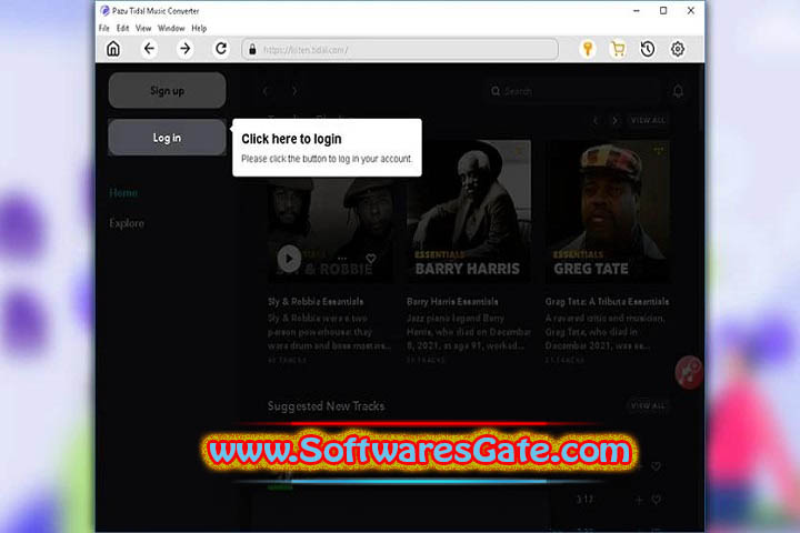 Pazu Tidal Music Converter : Version 1.6.2 (Latest Software) Pazu Tidal Music Converter : Version 1.6.2 (Latest Software)