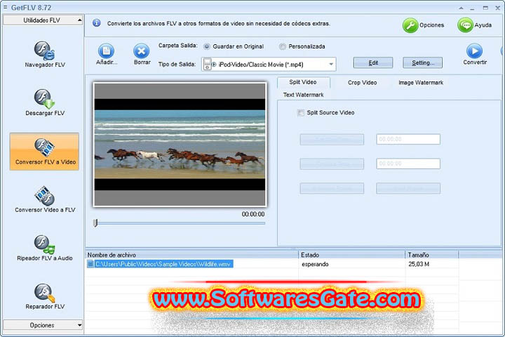 Vdigger GetFLV : Version 31.2409.25 (Latest Software)