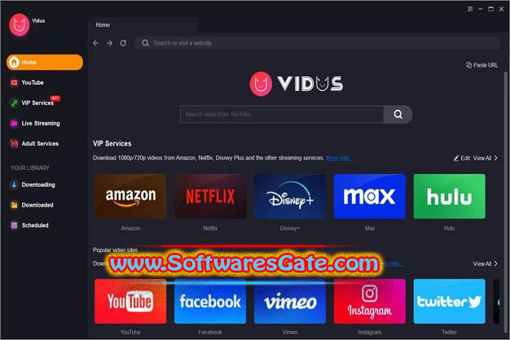 Vidus Streaming Downloader : Version 1.3.2.5 (Latest Software)