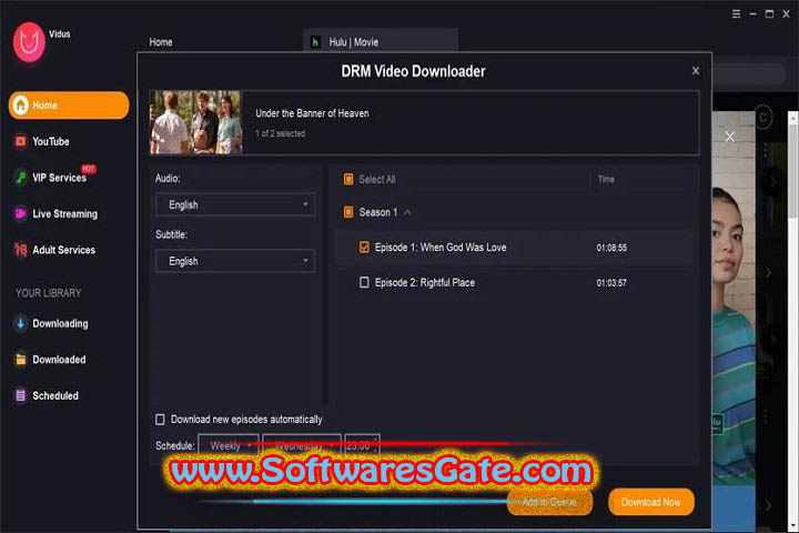 Vidus Streaming Downloader : Version 1.3.2.5 (Latest Software)