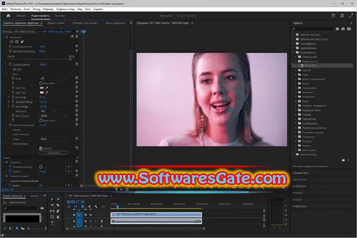 Beauty Box Video : Version 6.0.1 for OFX (Latest Software) Beauty Box Video : Version 6.0.1 for OFX (Latest Software)