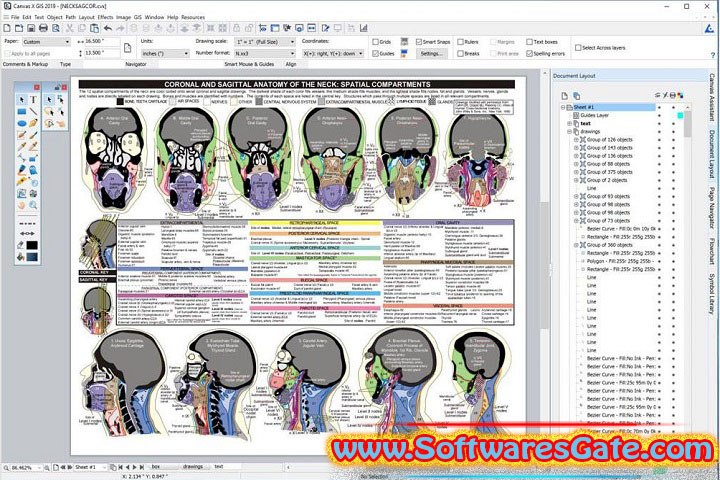 Canvas X Geo : Version 20.0.1009 (Latest Software)