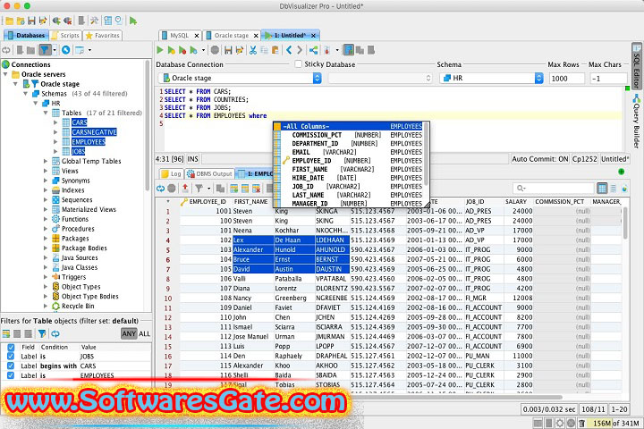 DbVisualizer Pro : Version 25.2.3 (Latest Software) DbVisualizer Pro : Version 25.2.3 (Latest Software)