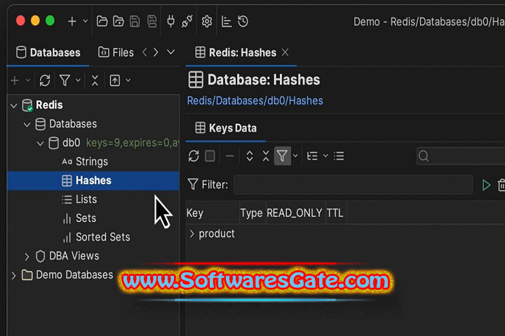 DbVisualizer Pro : Version 25.2.3 (Latest Software) DbVisualizer Pro : Version 25.2.3 (Latest Software)