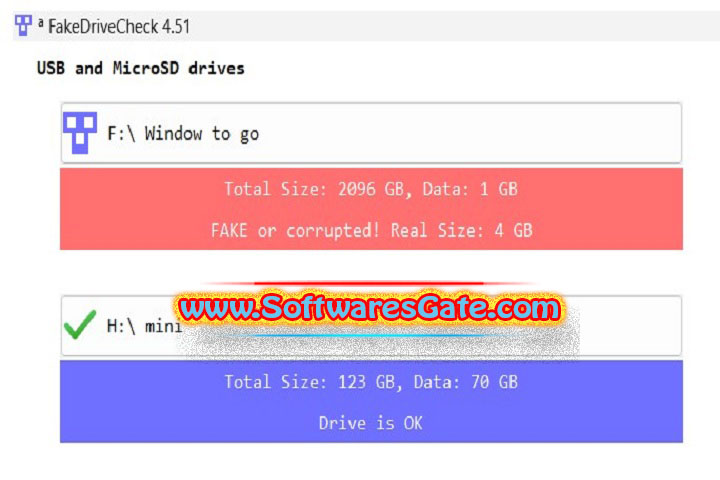 FakeDriveCheck : Version 4.64 (Latest Software)