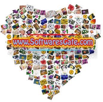 FigrCollage : Version 3.3.6.0 (Latest Software) FigrCollage : Version 3.3.6.0 (Latest Software)