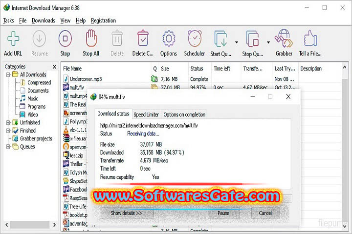 Internet Download Manager : Version 6.42 (Latest Software)
