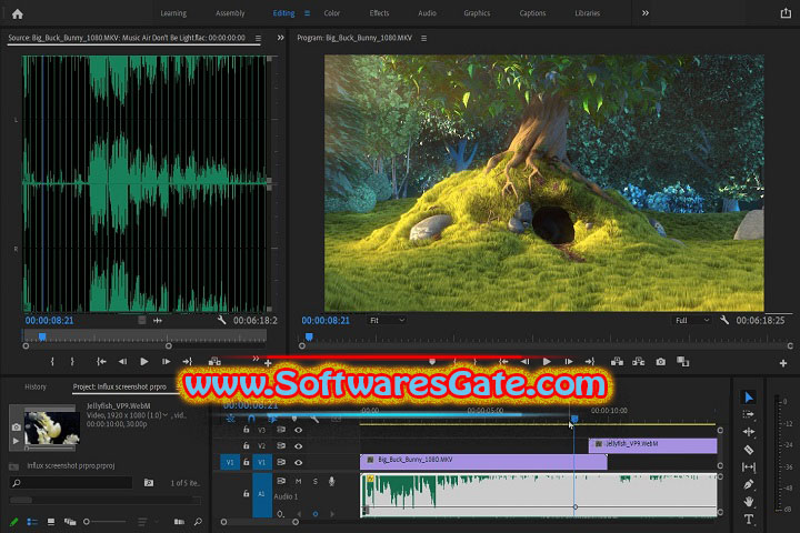 AEscripts Autokroma Influx : Version v1.6.0 (Latest Software) AEscripts Autokroma Influx : Version v1.6.0 (Latest Software)