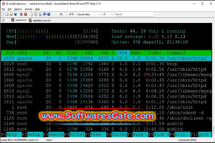 AbsoluteTelnet : Version 13.15 (Latest Software)