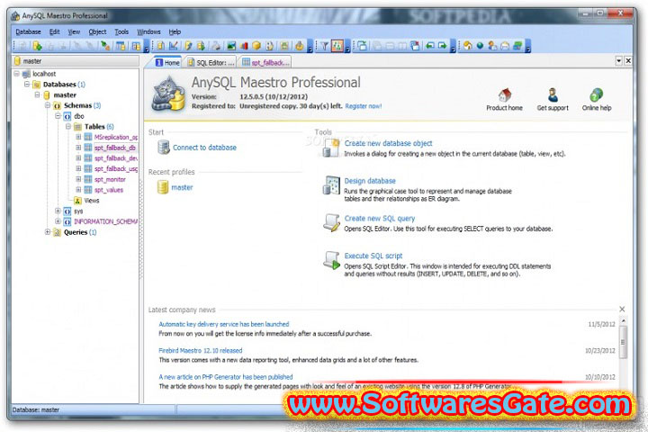AnySQL Maestro Professional : Version 16.12.0.15 (Latest Software)