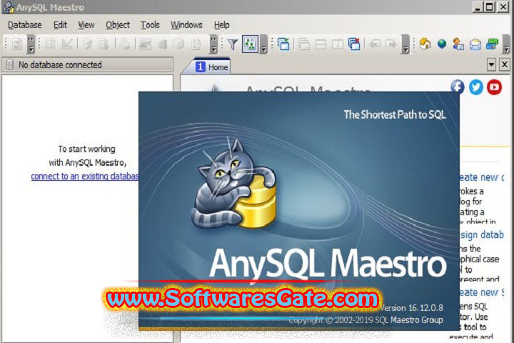 AnySQL Maestro Professional : Version 16.12.0.15 (Latest Software)
