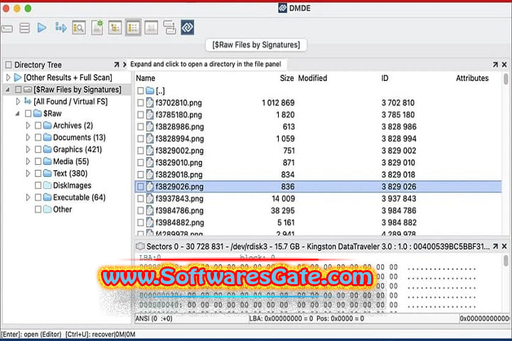 DMDE : Version 4.3.5.823 (Latest Software) DMDE : Version 4.3.5.823 (Latest Software)