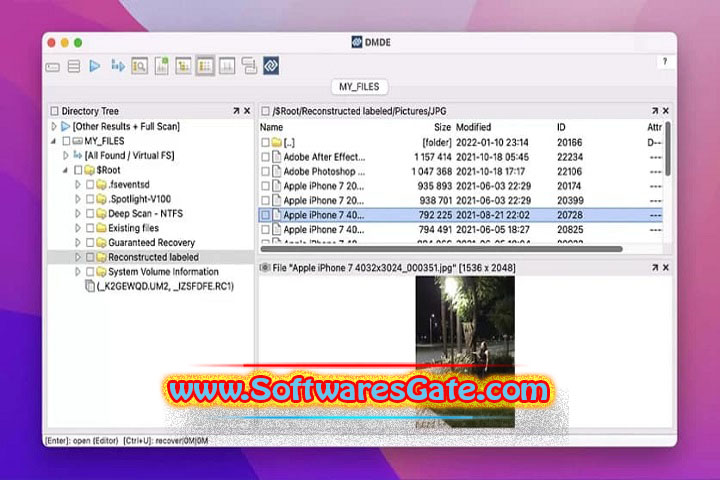 DMDE : Version 4.3.5.823 (Latest Software) DMDE : Version 4.3.5.823 (Latest Software)