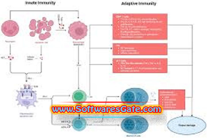 Lupus Tech anyPDF : Version 1.4.4 (Latest Software)
