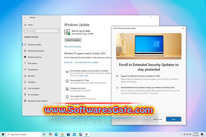 Windows 10 Consumer ESU Enrollment Version : 0.0.8 (Latest Software)