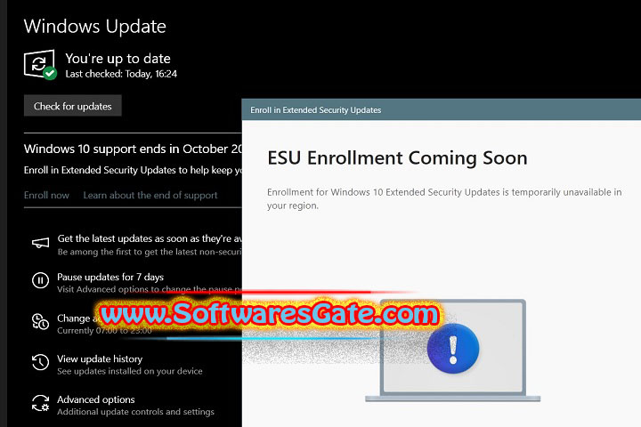 Windows 10 Consumer ESU Enrollment Version : 0.0.8 (Latest Software)